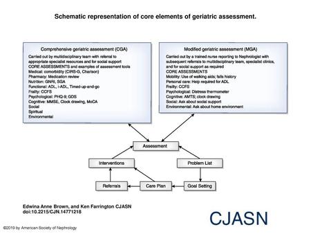 Schematic representation of core elements of geriatric assessment.