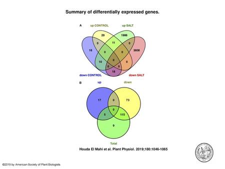 Summary of differentially expressed genes.