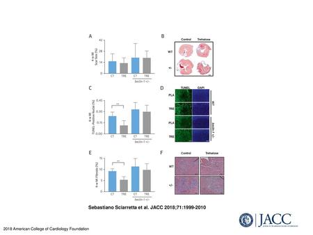 Sebastiano Sciarretta et al. JACC 2018;71: