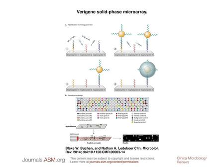 Verigene solid-phase microarray.