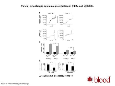 Platelet cytoplasmic calcium concentration in PI3Kγ-null platelets.