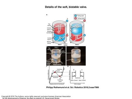 Details of the soft, bistable valve.