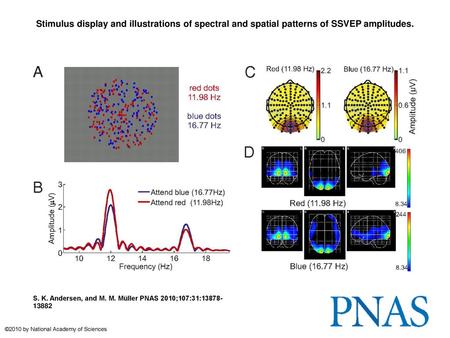 Stimulus display and illustrations of spectral and spatial patterns of SSVEP amplitudes. Stimulus display and illustrations of spectral and spatial patterns.