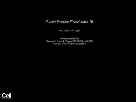 Protein Tyrosine Phosphatase 1B