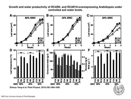 Growth and water productivity of RCAR6- and RCAR10-overexpressing Arabidopsis under controlled soil water levels. Growth and water productivity of RCAR6-