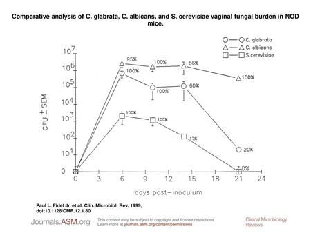 Comparative analysis of C. glabrata, C. albicans, and S