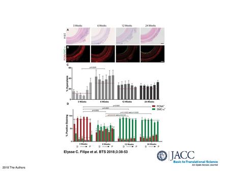 Elysse C. Filipe et al. BTS 2018;3:38-53