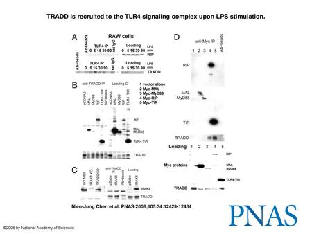 TRADD is recruited to the TLR4 signaling complex upon LPS stimulation.