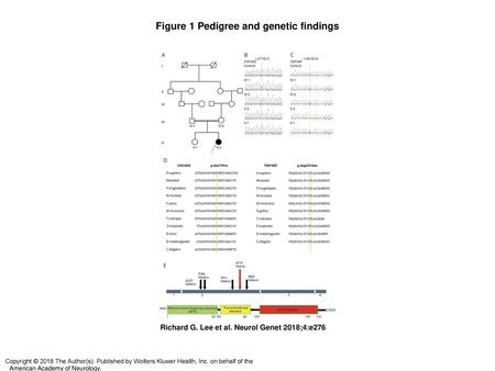 Figure 1 Pedigree and genetic findings