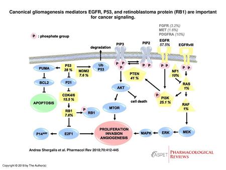 Canonical gliomagenesis mediators EGFR, P53, and retinoblastoma protein (RB1) are important for cancer signaling. Canonical gliomagenesis mediators EGFR,