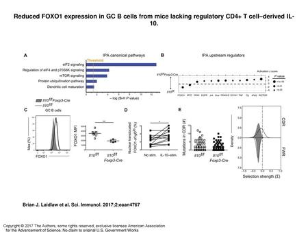 Reduced FOXO1 expression in GC B cells from mice lacking regulatory CD4+ T cell–derived IL-10. Reduced FOXO1 expression in GC B cells from mice lacking.