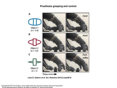 Prosthesis grasping and control.