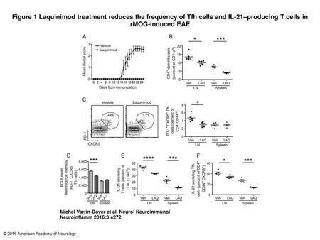 Figure 1 Laquinimod treatment reduces the frequency of Tfh cells and IL-21–producing T cells in rMOG-induced EAE Laquinimod treatment reduces the frequency.