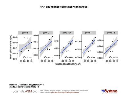 RNA abundance correlates with fitness.