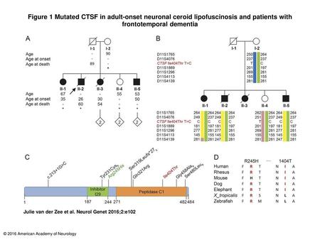 Figure 1 Mutated CTSF in adult-onset neuronal ceroid lipofuscinosis and patients with frontotemporal dementia Mutated CTSF in adult-onset neuronal ceroid.