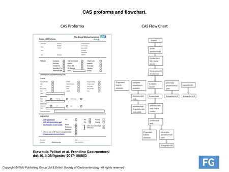 CAS proforma and flowchart.