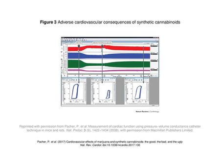 Figure 3 Adverse cardiovascular consequences of synthetic cannabinoids