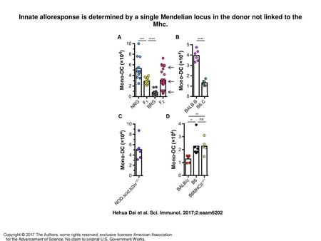 Innate alloresponse is determined by a single Mendelian locus in the donor not linked to the Mhc. Innate alloresponse is determined by a single Mendelian.