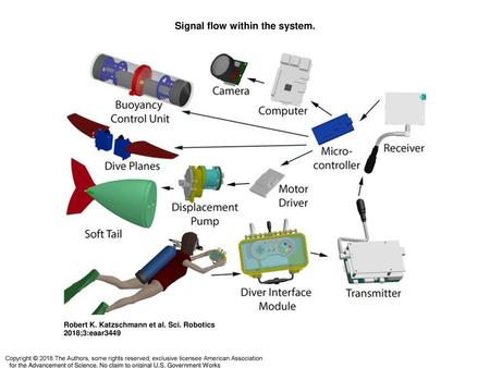 Signal flow within the system.