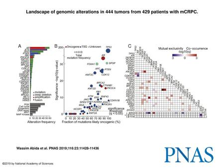 Landscape of genomic alterations in 444 tumors from 429 patients with mCRPC. Landscape of genomic alterations in 444 tumors from 429 patients with mCRPC.