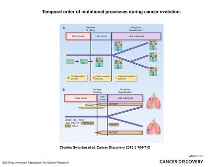 Temporal order of mutational processes during cancer evolution.