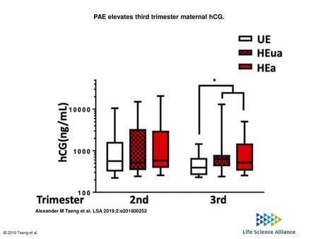 PAE elevates third trimester maternal hCG.