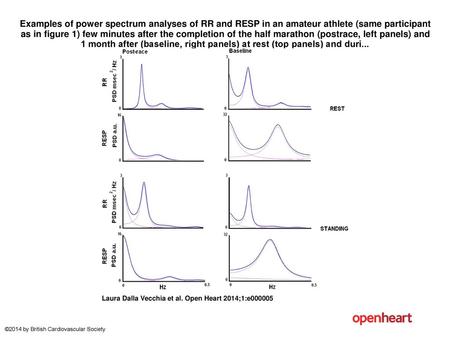 Examples of power spectrum analyses of RR and RESP in an amateur athlete (same participant as in figure 1) few minutes after the completion of the half.