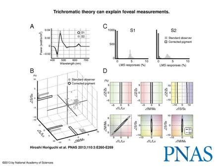 Trichromatic theory can explain foveal measurements.