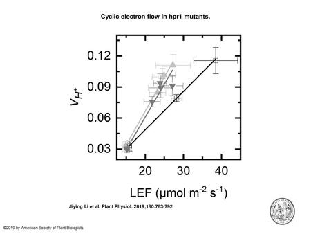 Cyclic electron flow in hpr1 mutants.