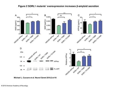 Figure 2 SORL1 mutants' overexpression increases β-amyloid secretion