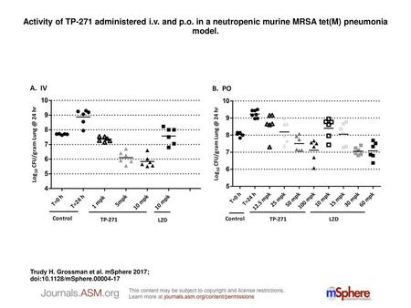 Activity of TP-271 administered i. v. and p. o