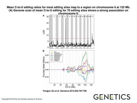 Mean C-to-U editing ratios for most editing sites map to a region on chromosome 6 at 122 Mb. (A) Genome scan of mean C-to-U editing for 70 editing sites.