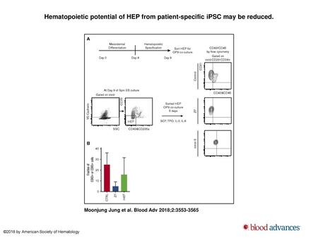 Hematopoietic potential of HEP from patient-specific iPSC may be reduced. Hematopoietic potential of HEP from patient-specific iPSC may be reduced. (A)