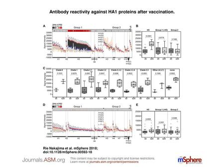 Antibody reactivity against HA1 proteins after vaccination.