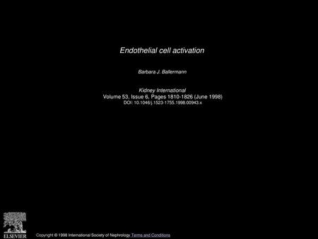 Endothelial cell activation