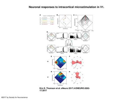 Neuronal responses to intracortical microstimulation in V1.