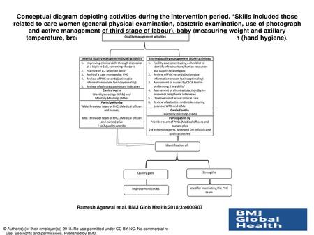 Conceptual diagram depicting activities during the intervention period