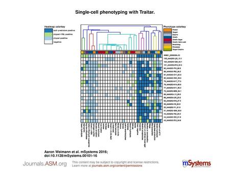 Single-cell phenotyping with Traitar.