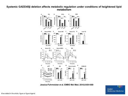 Systemic GADD45β deletion affects metabolic regulation under conditions of heightened lipid metabolism Systemic GADD45β deletion affects metabolic regulation.