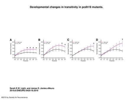 Developmental changes in transitivity in pcdh19 mutants.