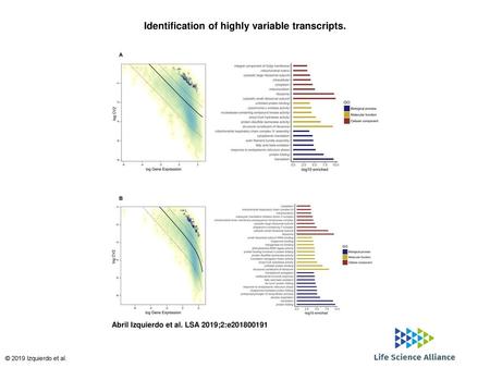 Identification of highly variable transcripts.