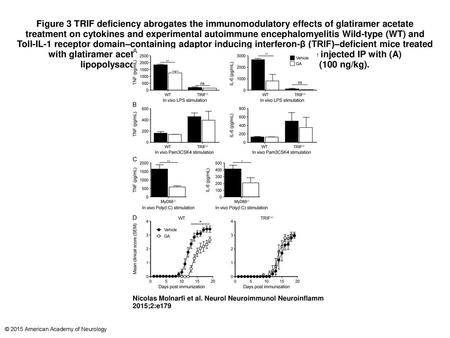 Figure 3 TRIF deficiency abrogates the immunomodulatory effects of glatiramer acetate treatment on cytokines and experimental autoimmune encephalomyelitis.