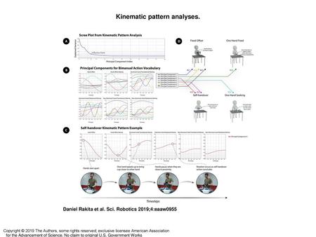 Kinematic pattern analyses.