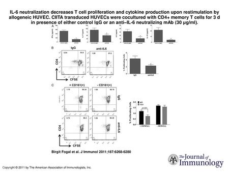 IL-6 neutralization decreases T cell proliferation and cytokine production upon restimulation by allogeneic HUVEC. CIITA transduced HUVECs were cocultured.