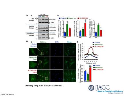 Haiyang Tang et al. BTS 2018;3: