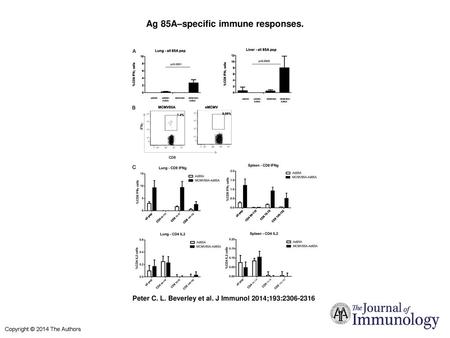 Ag 85A–specific immune responses.