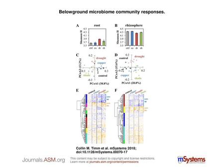 Belowground microbiome community responses.