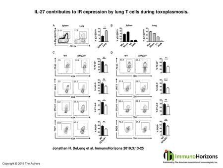 IL-27 contributes to IR expression by lung T cells during toxoplasmosis. IL-27 contributes to IR expression by lung T cells during toxoplasmosis. (A) Il27p28-GFP.