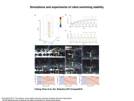 Simulations and experiments of robot swimming stability.