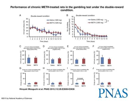 Performance of chronic METH-treated rats in the gambling test under the double-reward condition. Performance of chronic METH-treated rats in the gambling.